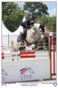 Gelding French Saddle Pony For sale 2015 Grey
