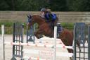 Mare French Saddle Pony For loan 2010 Chesnut