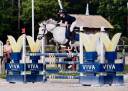 Mare Connemara For sale 2015 Grey