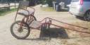 Carriage - Other carriage - Other brand - poneys 