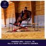 Mare Thoroughbred For sale 2020 Bay