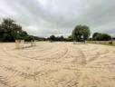 Stud farm  Seine-et-Marne