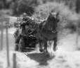Carriage - Brake - Other brand - marathon ralongé tourisme RANDO 