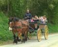 Carriage - Brake - Other brand - Tourisme  