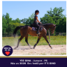 Mare Thoroughbred For sale 2020 Bay