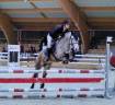 Mare Connemara For sale 2020 Grey