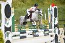 Mare Welsh Pony (Section B) For sale 2020 Grey