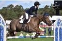 Mare Origin Recorded For loan 2011 Liver chestnut