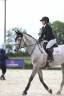 Broodmare Selle Français For sale 2018 Grey