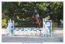 Mare Zangersheide For sale 2020 Dark Bay