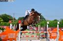 Mare Selle Français For sale 2018 Liver chestnut