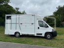 Horsebox HGV AP Petit Fiat Ducato 2014 Used