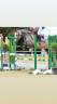 Mare French Saddle Pony For sale 2017 Grey