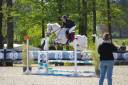 Mare Origin Recorded For sale 2013 Grey