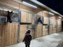 LCI-Cheval | Equestrian facilities > Horse stables