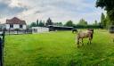 Equestrian property  Seine-et-Marne