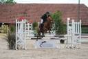 Mare French Saddle Pony For sale 2018 Chesnut