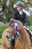 Mare Origin Recorded For sale 2010 Buckskin
