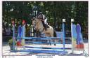 Mare Connemara For sale 2017 Buckskin