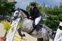 Mare Thoroughbred For sale 2020 Grey