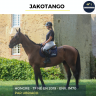 Gelding French Trotter For sale 2019 Bay
