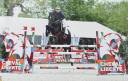 Gelding Selle Français For sale 2016 Black