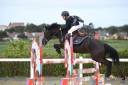Mare French Saddle Pony For sale 2014 Black