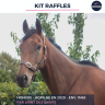 Gelding AQPS For sale 2020 Bay