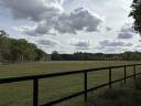 Stud farm  Calvados