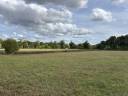 Stud farm  Calvados