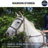 Mare Thoroughbred For sale 2020 Grey