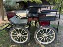 Carriage - Marathon for leisure Pouvreau Dresseuse 1 grand poney 