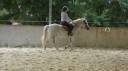 Mare No Origin Recorded For sale 2011 White
