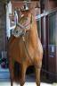 Mare Selle Français For sale 2018 Chesnut