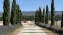 Stud farm  Bouches-du-Rhône