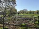 Equestrian property  Loire-Atlantique
