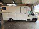 Horsebox HGV AP Petit Peugeot Boxer L4   2020 New
