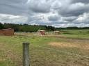 Equestrian property  Sarthe