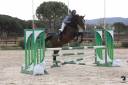 Head groom - Permanent contract Full time - Var France