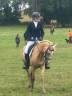 Mare Other Pony Breed For sale 2015 Palomino