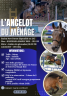 L'ancelot du m&eacute;nage  - New Forest 2021 by SILVERLEA SIMPLY RED