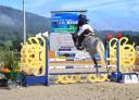 Gelding Hungarian Warmblood For sale 2013 Grey