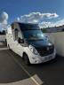 Horsebox HGV Renault  2020 Used