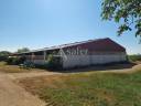Sheep farm  Lot
