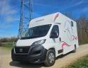Horsebox HGV Fiat  Ducato 2,2 Diesel  180 chevaux 2023 Used