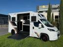Horsebox HGV Ameline HARAS  2025 New
