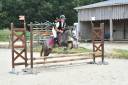 Gelding French Saddle Pony For sale 2022 Grey