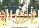 Iwan de Villate - French Saddle Pony 1996 by VVHISKY VIF ARGENT