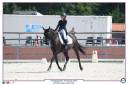 Gelding French Saddle Pony For sale 2011 Black