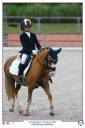 Mare Other Horse Breed For sale 2014 Palomino